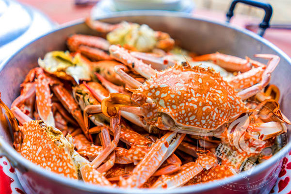 戰(zhàn)斗力肉蟹煲總部在哪里