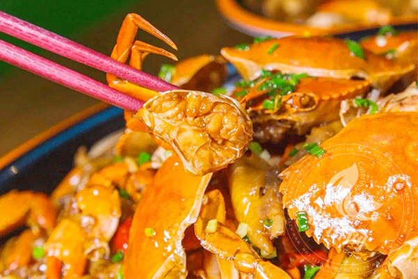 縣城胖嘴肉蟹煲一年可以賺多少