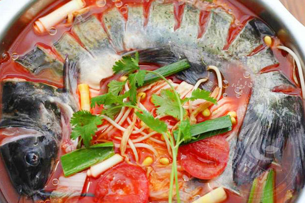 江小魚斑魚火鍋加盟費多少
