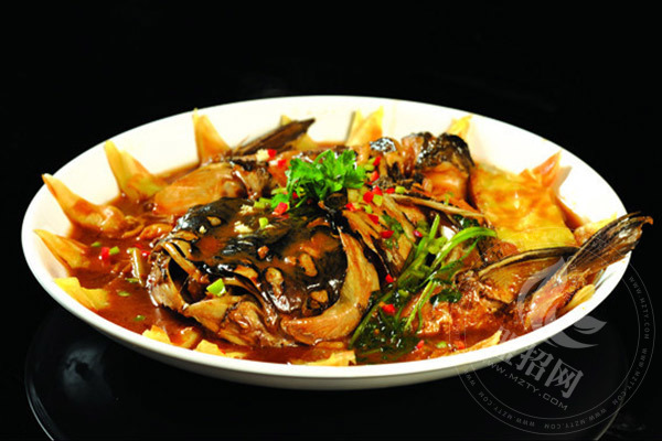 魚圖騰魚頭泡餅怎么樣
